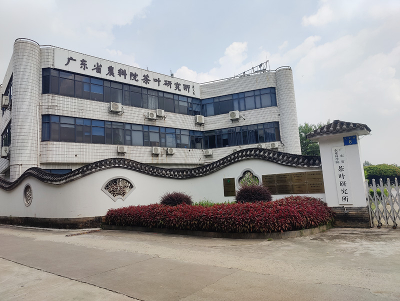 卓水越常規(guī)分析型超純水機案例分享之廣東省農(nóng)科院茶葉研究所篇